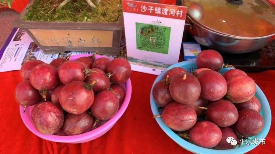 桂林平乐美食攻略,广西桂林平乐县特色美食