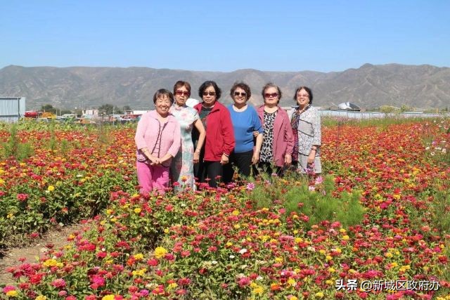 乡村振兴绿色田园景色如画,小康美丽乡村