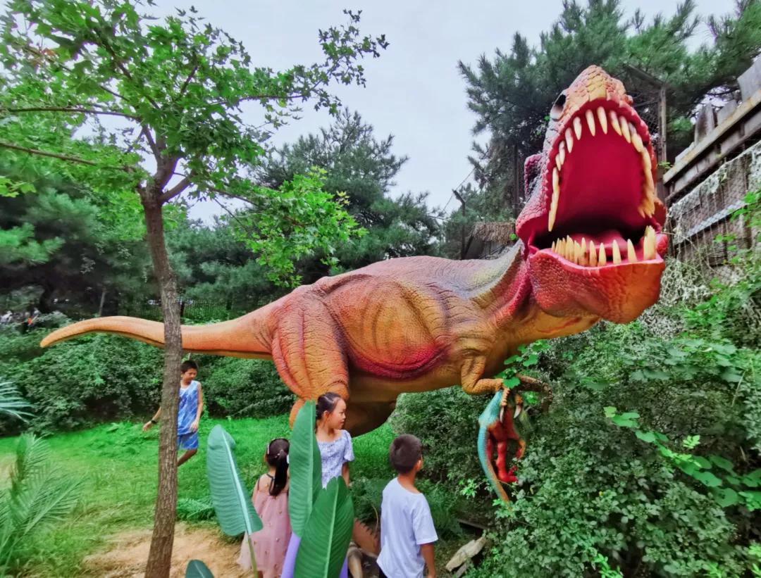 济南适合带娃去的公园,济南适合遛娃的景区