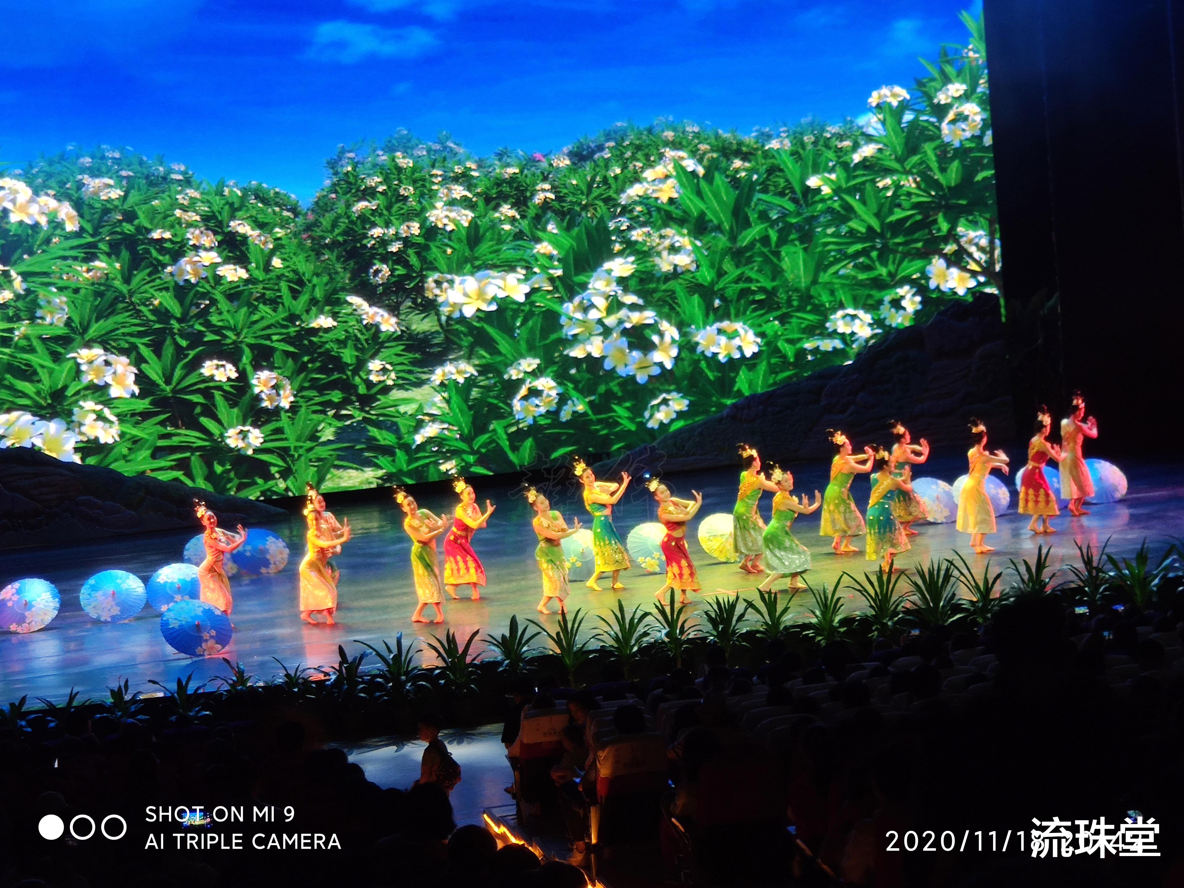 西双版纳的旅行故事,西双版纳风情与大家分享