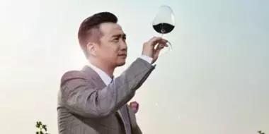 国内葡萄酒消费现状如何,葡萄酒行情下降的原因