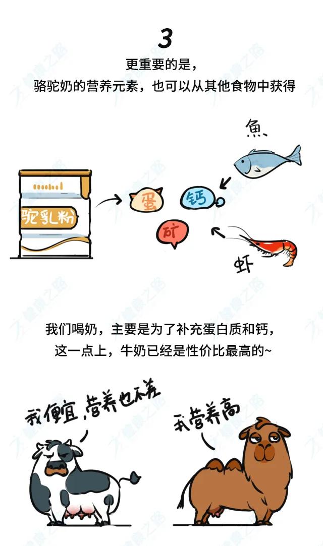 骆驼奶有什么功效,骆驼奶真的有效果吗