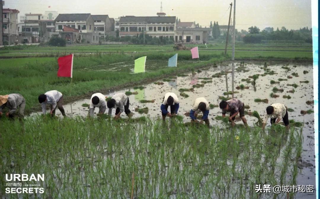 杭州旅游烟火气,杭州哪里还有江南风情