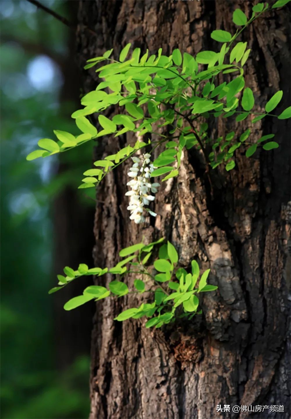 晨读激励人心的美好句子,晨读生命中遇到的每一个人