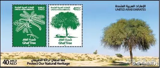 迪拜种一棵树,迪拜养一棵树成本