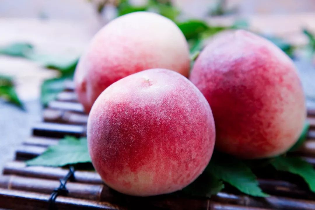 今日济青高铁,青岛济青高铁