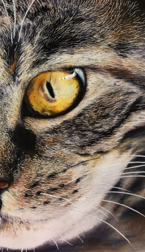 失明女孩铅笔画,保护视力守护心灵素描画