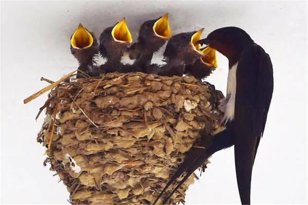 万源竹峪百年老屋,万源老街图片