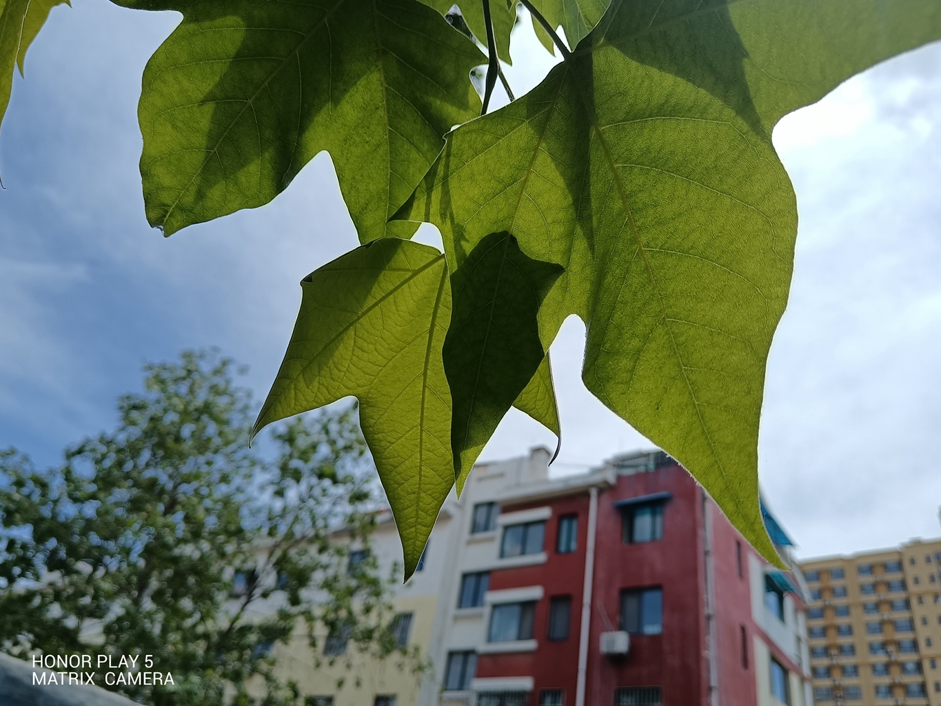 66w快充体验,荣耀66w车载快充超薄测试