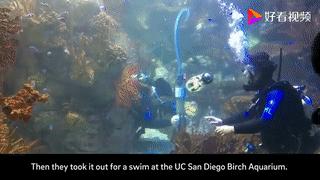 黑科技太空机器人,鱿鱼机器人