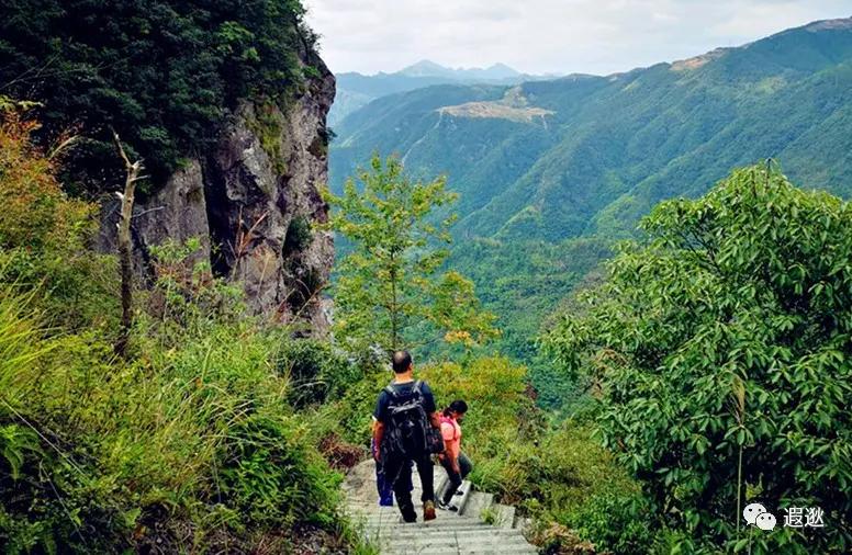 乐清仙溪有哪里好玩的 (乐清仙溪镇景点)