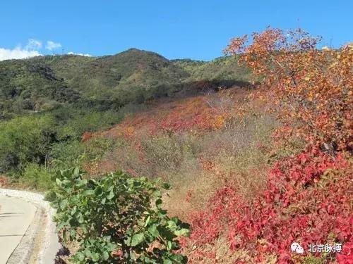 画说回龙观,北京最漂亮的森林公园