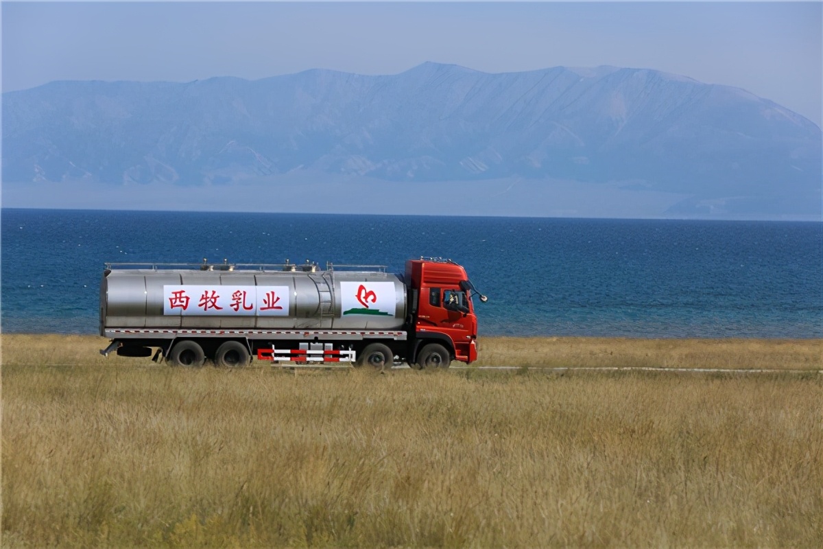 西牧奶粉,西牧乳业奶粉