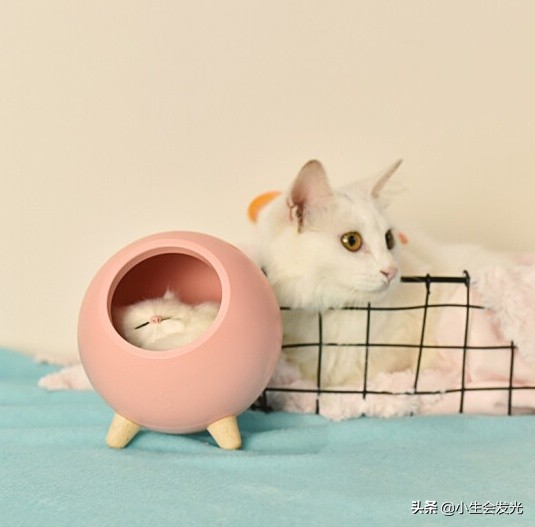 有什么实用的礼物送女朋友,送女朋友什么礼物最有意义排行榜