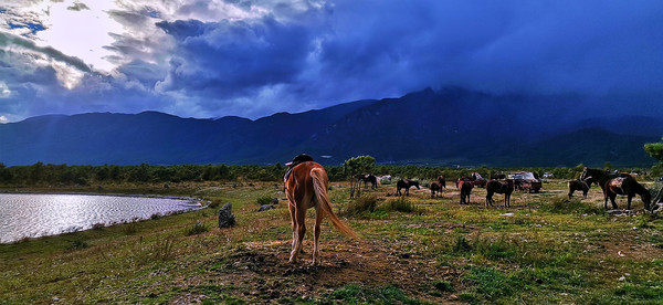 丽江小时光，遇见皆是欢喜