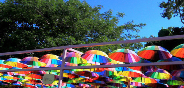 我的海南之旅作文,从海口到三亚感受海南的无限魅力