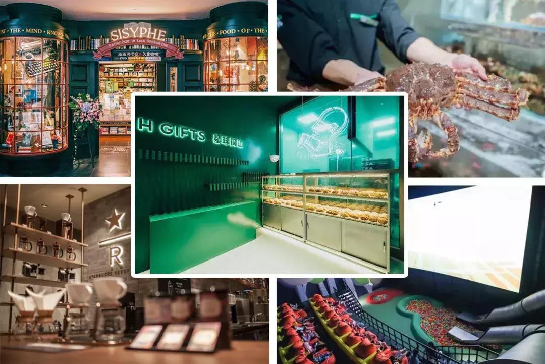 张韶涵张信哲最新综艺,张韶涵张信哲演唱会图文