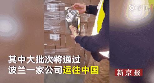 都有哪些毒奶粉,毒奶粉宝宝