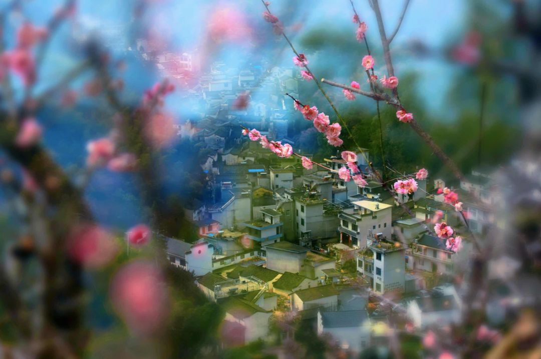 戴口罩的冬天太漫长，差点忘了中国的春天有多美