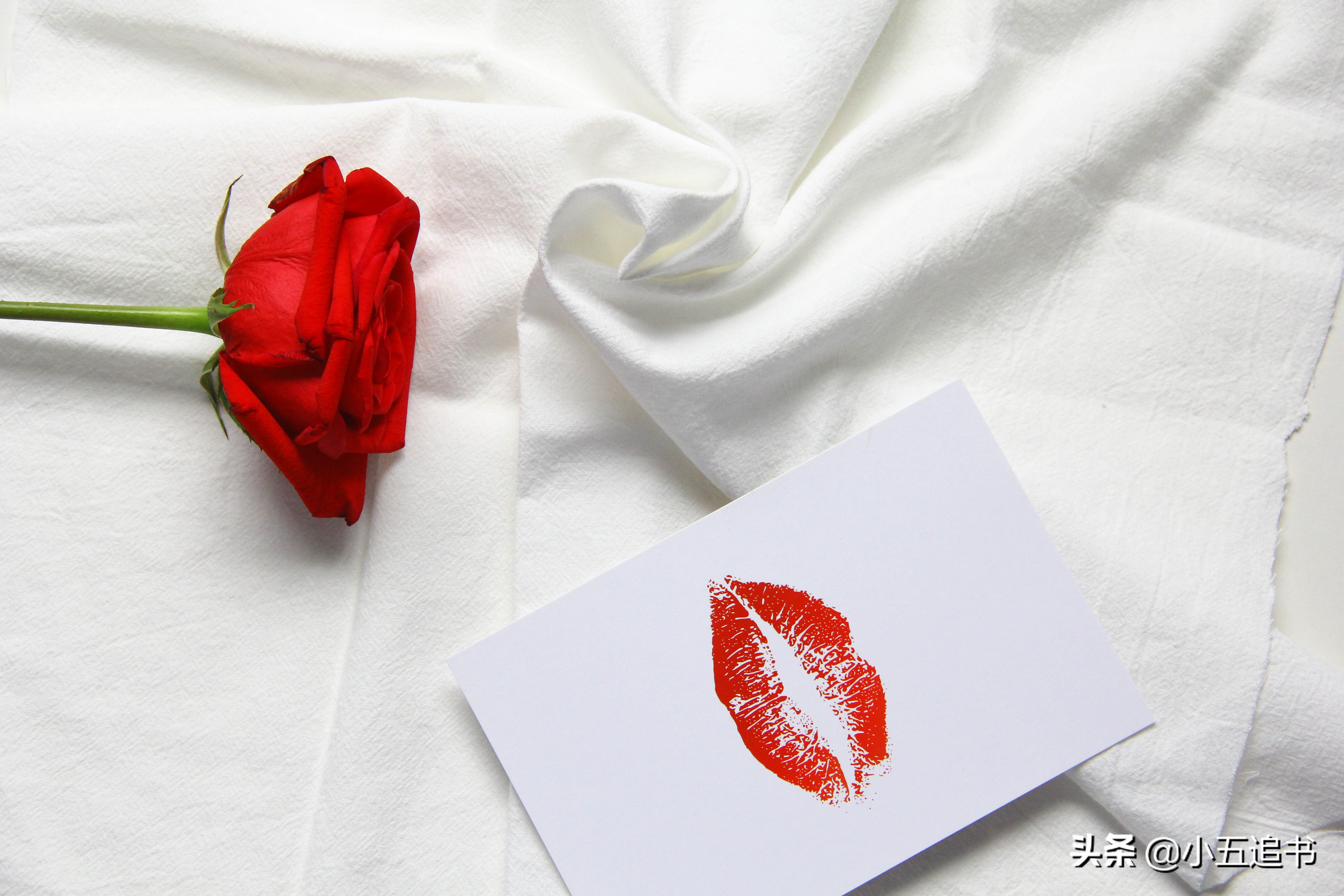 女汉子倒追小伙子全集,甜甜的女追男的初恋小说推荐