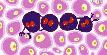 一部动画告诉我们不停地改变自己,一部动画让我们知道了死的意义