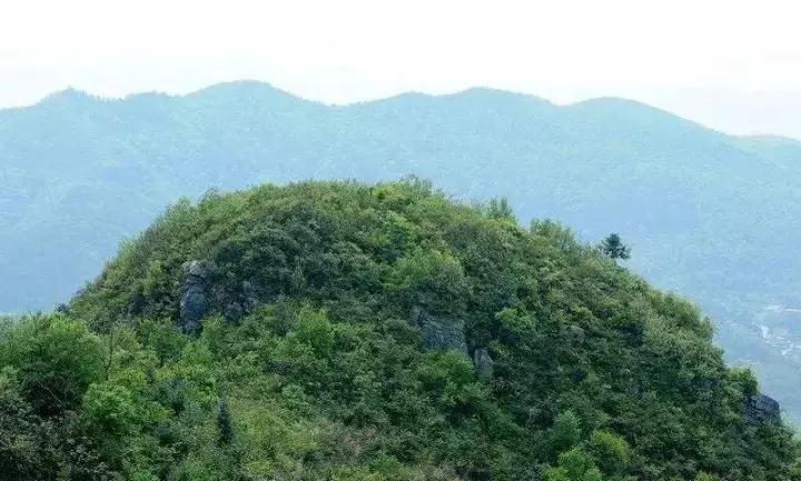 我叫湖口，这是我最新的简历