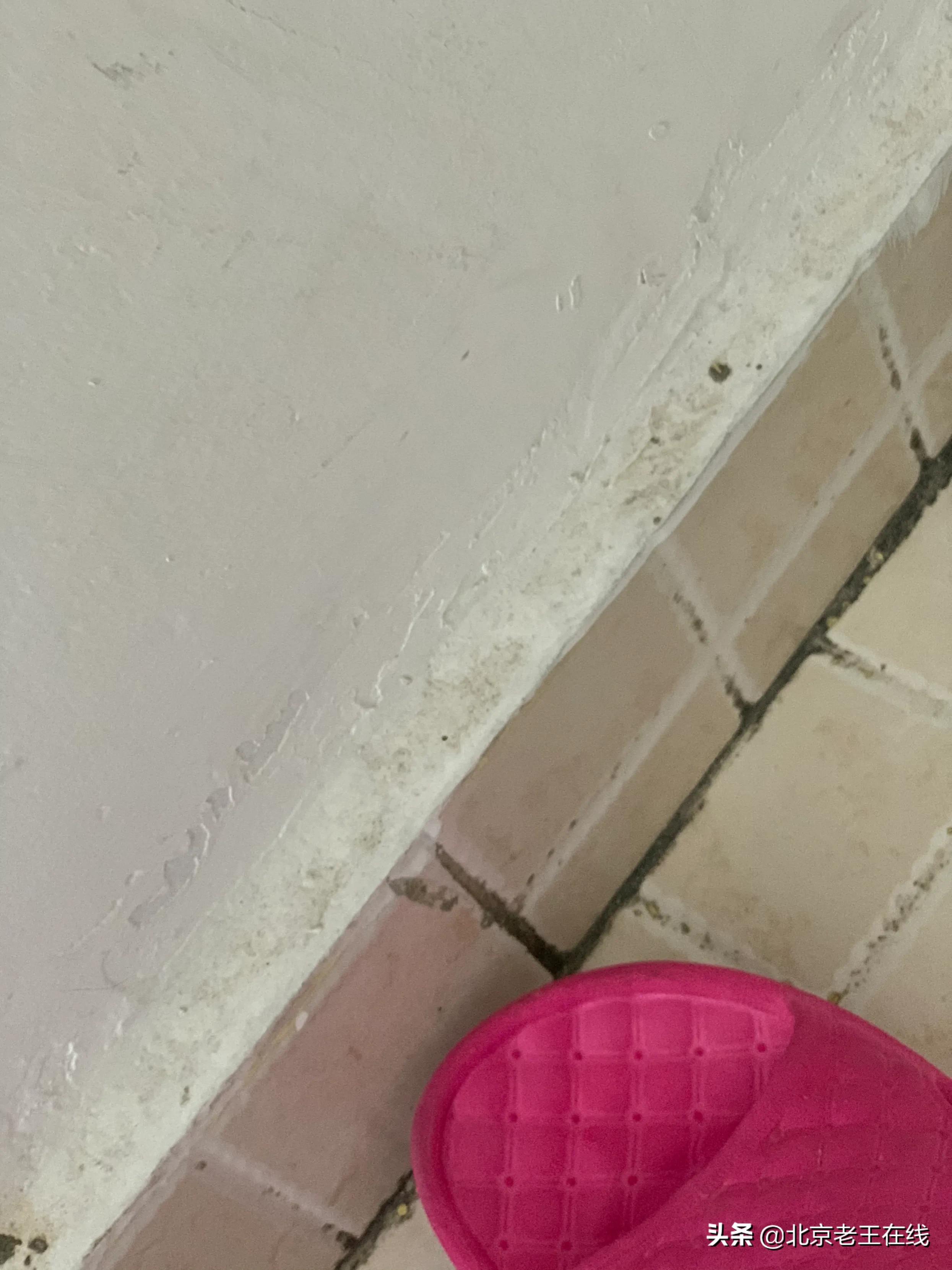 川渝旅行八天,川渝民宿