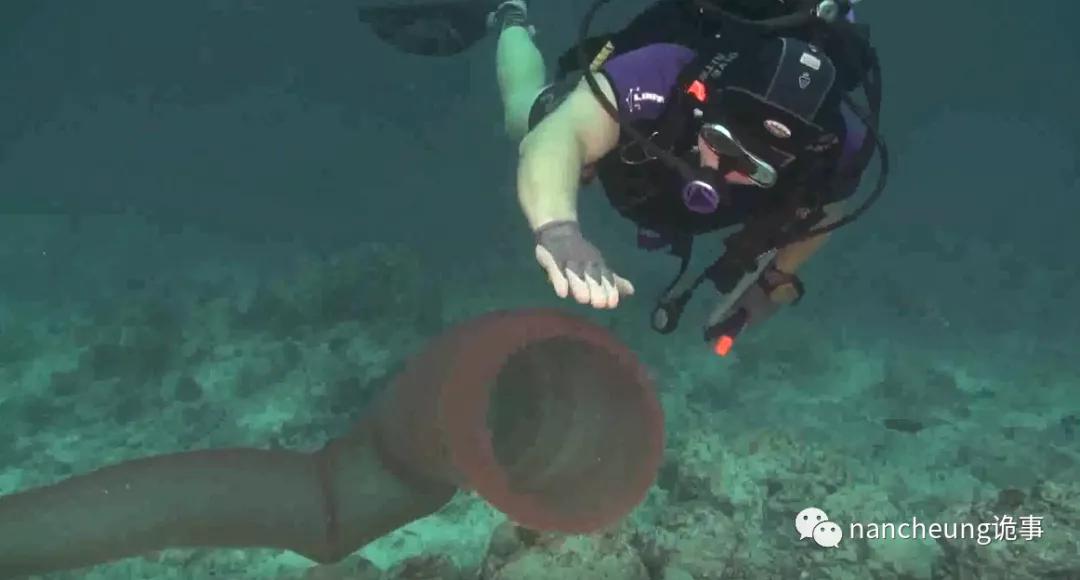 深海迷航第49天神秘生物,深海海底神秘的10种生物