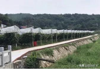 松滋市区游玩,松滋市旅游攻略