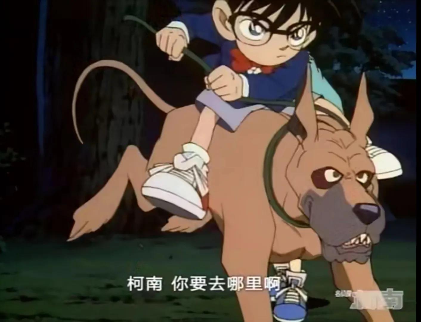 柯南企业千金杀人事件,柯南董事长千金