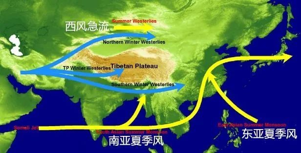 中国降水北迁,北京首次发现罕见尖帽草,北方会变成南方吗?