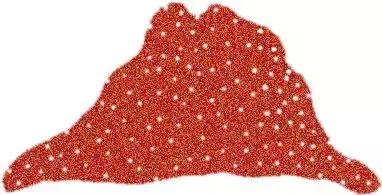 烹饪菜肴用的香辛料,料理必备调味料