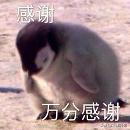 电脑小匠分享与粉丝日常交易及常见问题今日取之于民换之于民