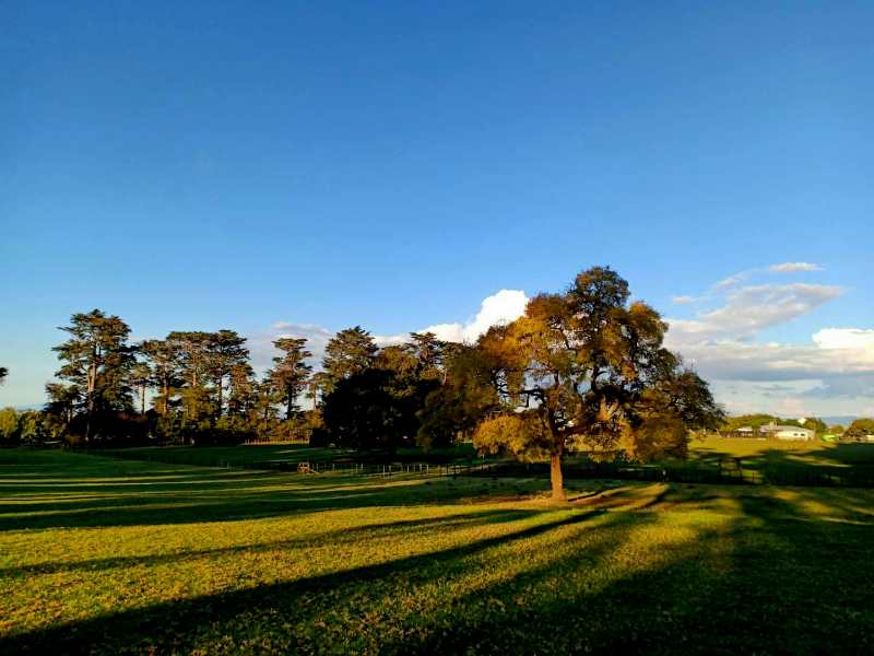 一树山介绍,一树山