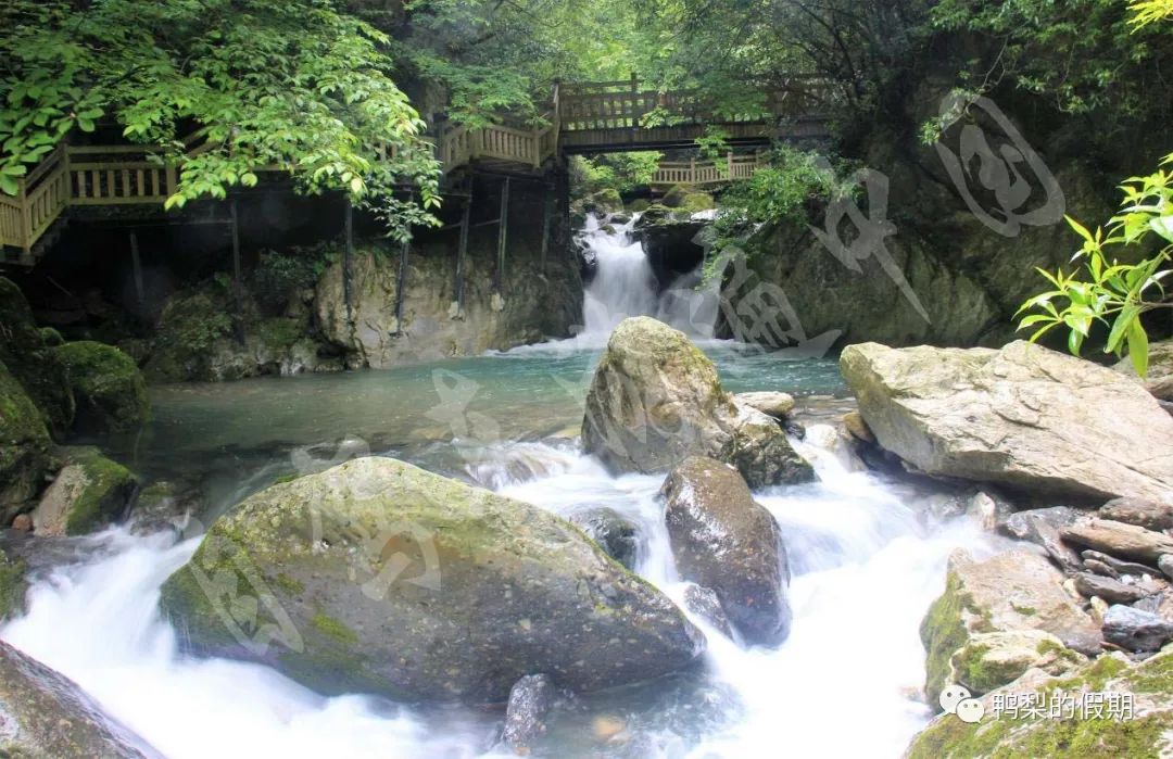 自驾车游遍中国之（一）——世界那么大，我想去神农架