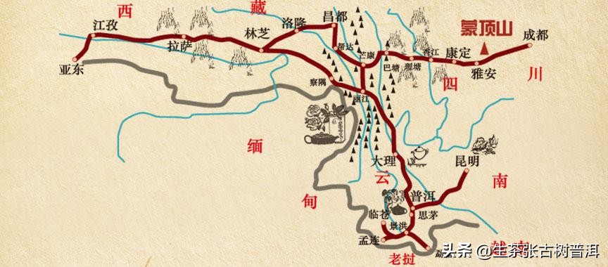 追溯普洱茶悠久的历史和文化,深入探索普洱茶的历史及其由来