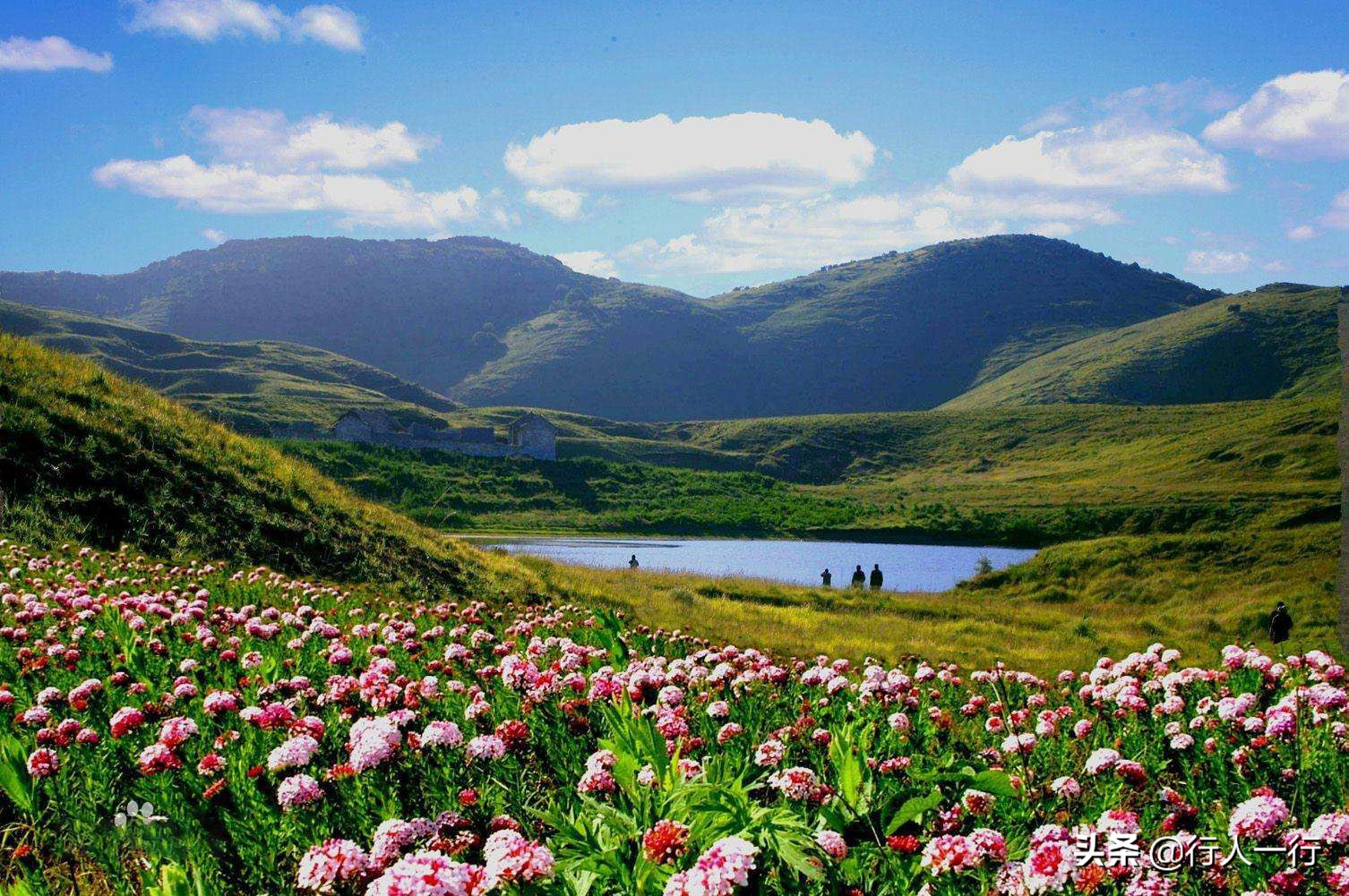 华北最大的亚高山草甸圣王坪,华北最大的亚高山草甸