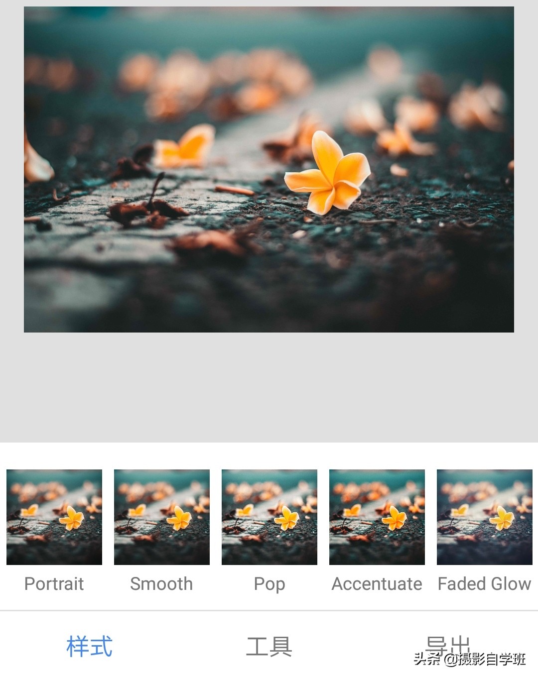 摄影拍出抽象风格照片5个诀窍,照片怎么加虚化