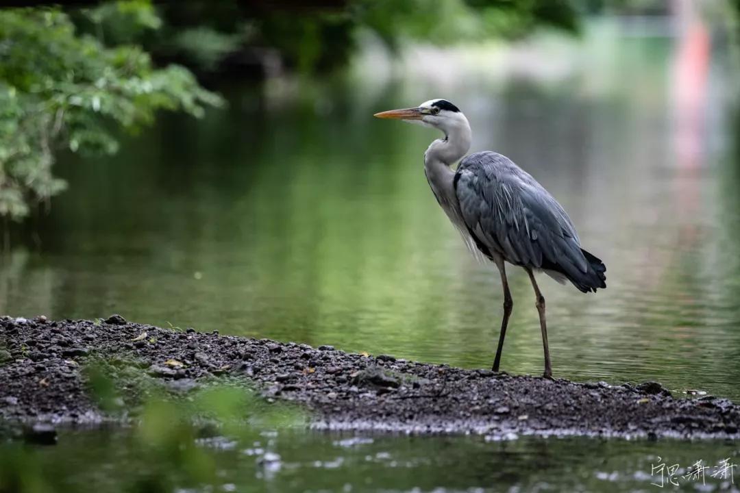 旅行买什么相机最好,外出旅行买什么样的相机好