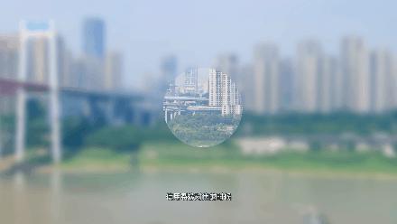 ccd相机内部结构图,单反相机的结构