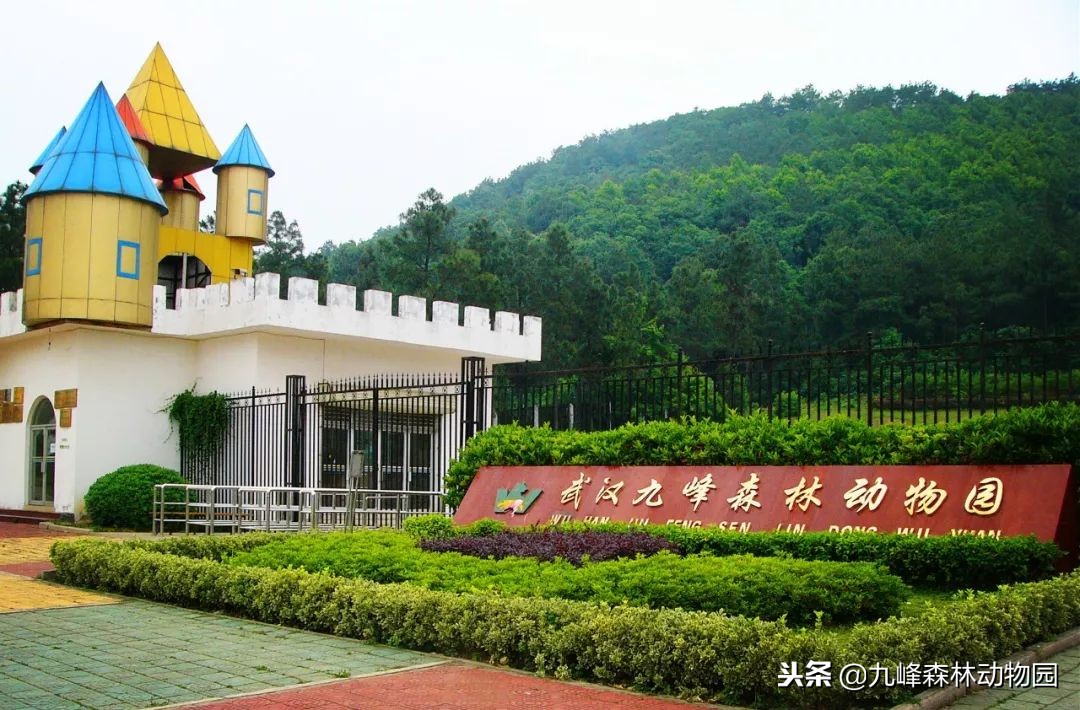 动物园动物饲养岗位招聘,杨家坪动物园招聘饲养员信息