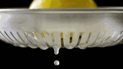 椋庣墿涔嬮兘,椋庣墿鍥涘窛