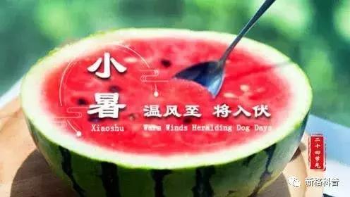 今日小暑节气祝福语,今日小暑节气的习俗