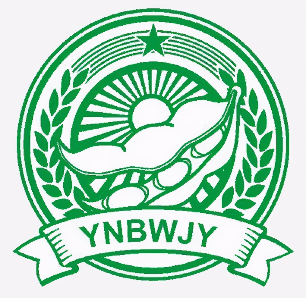 原酿本味酱油少盐,原酿本味和金标