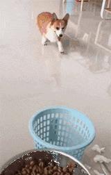 搞笑gif开心一刻原来高手在民间,搞笑gif你大爷果然还是你大爷