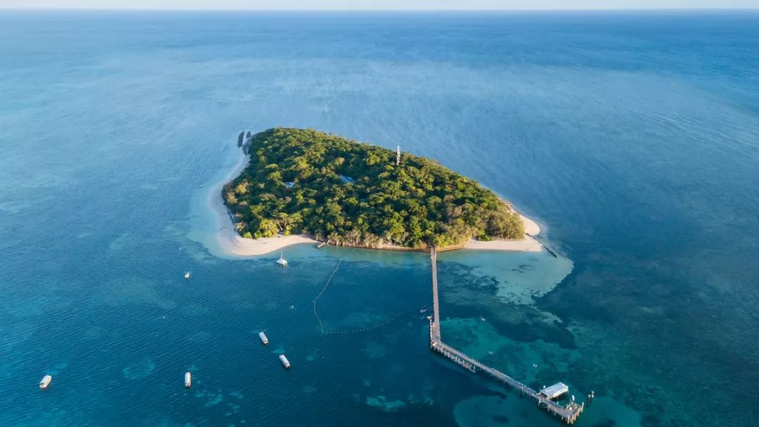 澳洲大堡礁旅游视频,澳洲大堡礁潜水攻略