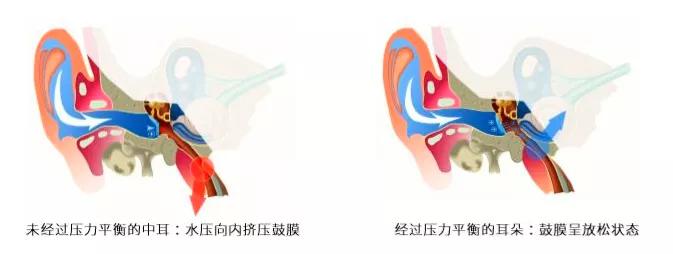c罗潜水,c罗游泳视频大全集