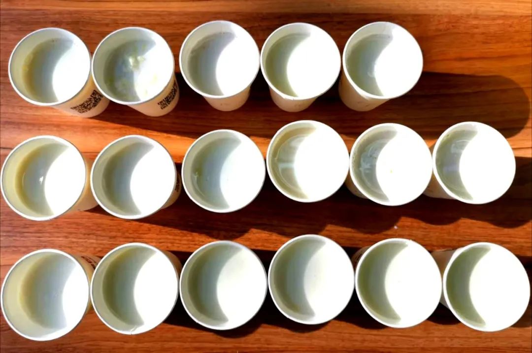 儿童牛奶6-12岁营养高奶粉测评,17岁奶粉口碑最好的前十名