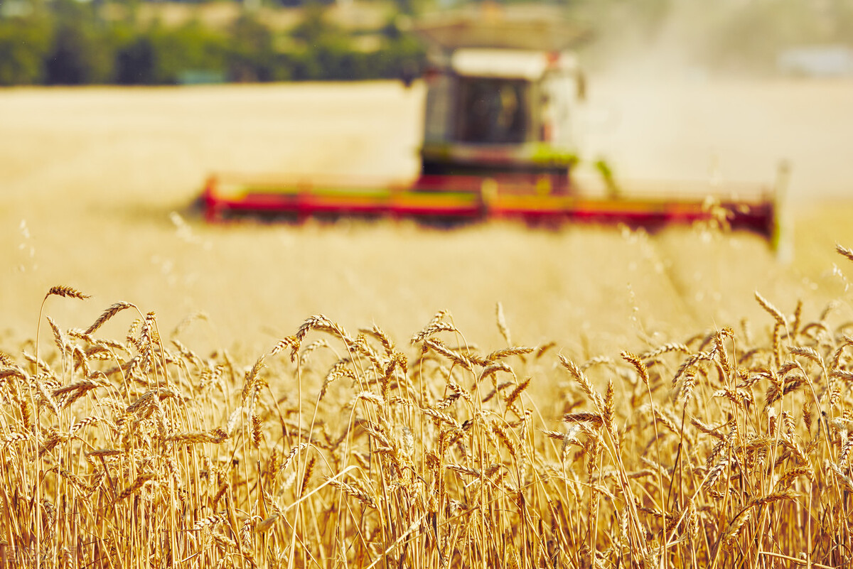 2022年佛山重大项目,项目申报佛山