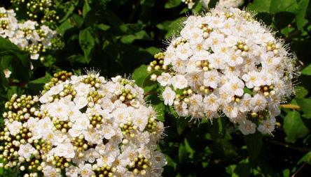 医巫闾山风景区简介旅游攻略,锦州医巫闾山风景区攻略